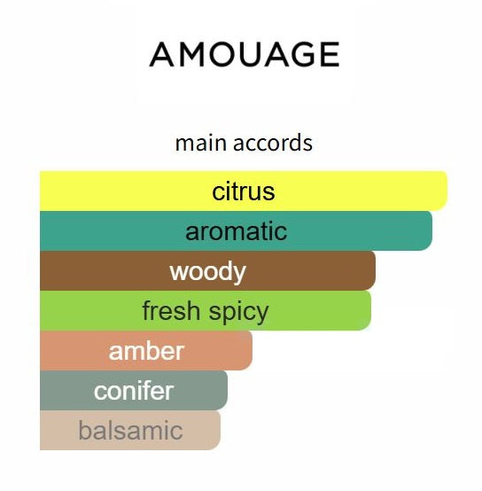Search by Amouage - Decant / Sample