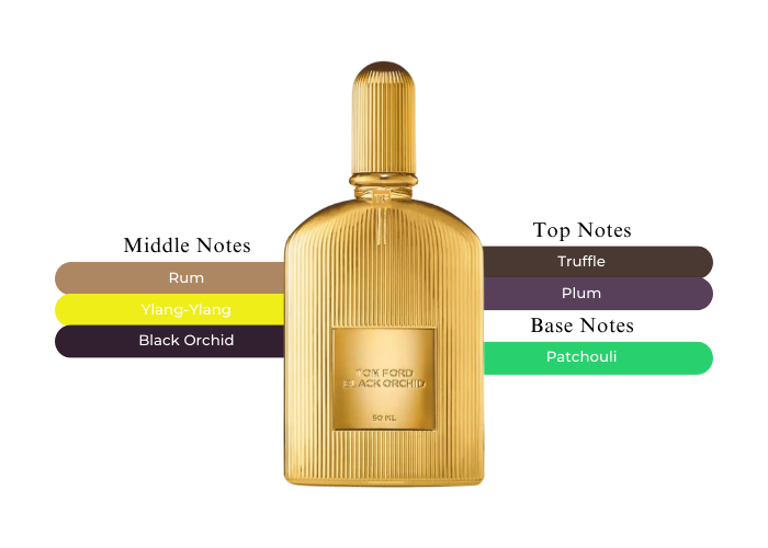 Black Orchid Parfum by Tom Ford – Decant