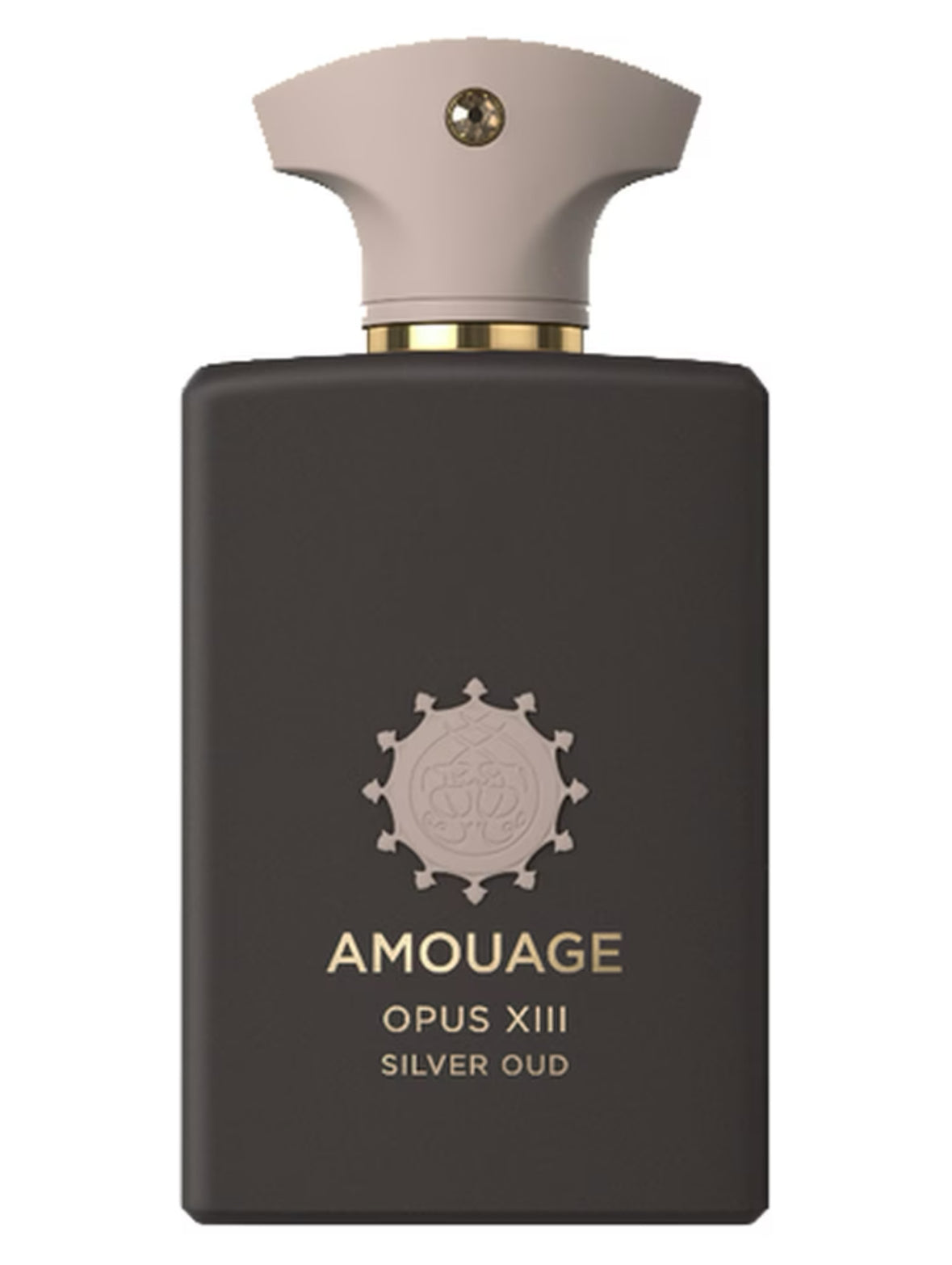 Opus XIII Silver Oud by Amouage - Decant