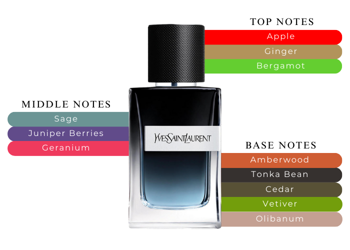 Y EDP by Yves Saint Laurent - Decant