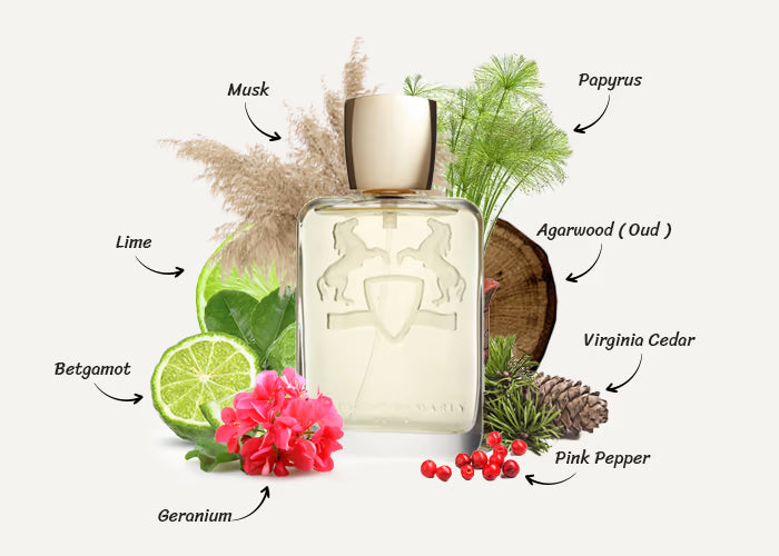 Shagya by Parfums de Marly - Decant / Sample