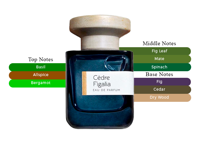 Cèdre Figalia by Atelier Materi - Decant