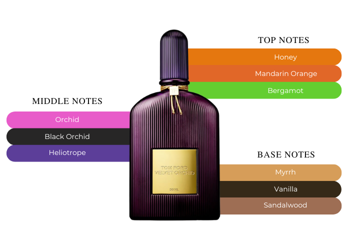 Velvet Orchid by Tom Ford – Decant