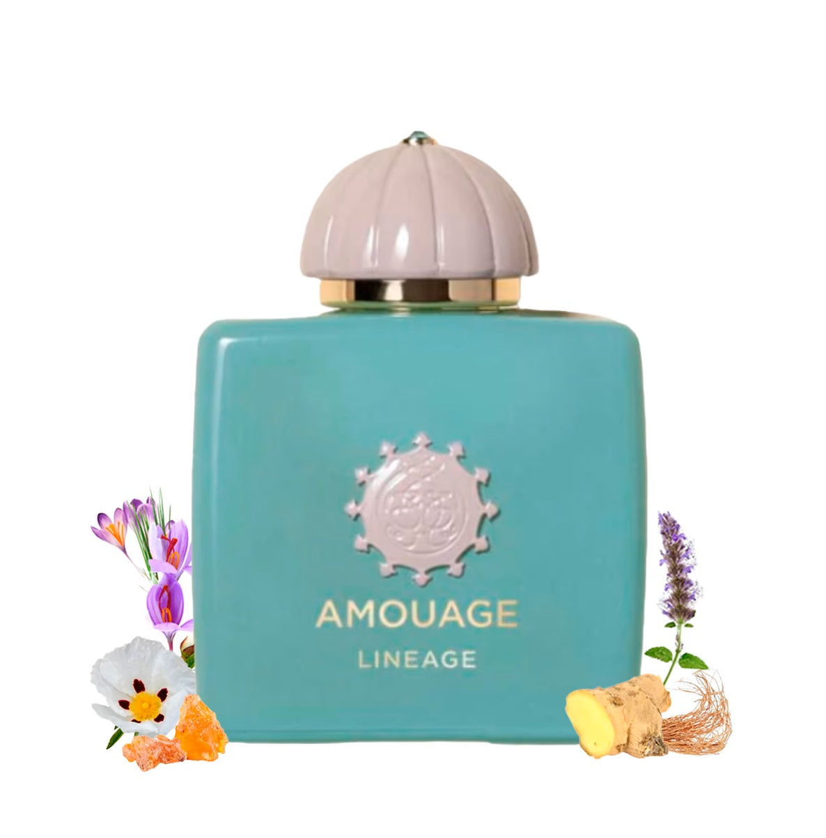 Lineage by Amouage - Decant / Sample