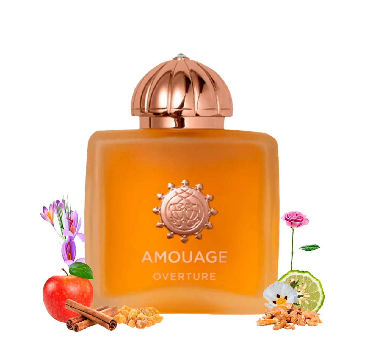 Overture Woman by Amouage - Decant / Sample