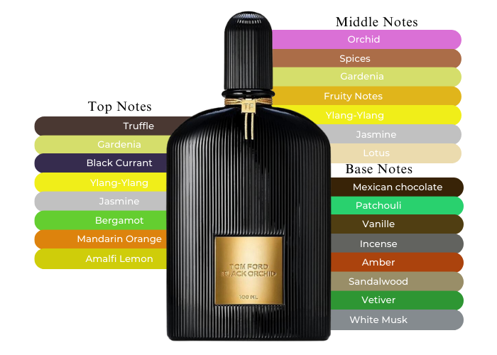 Black Orchid EDP by Tom Ford –  Decant