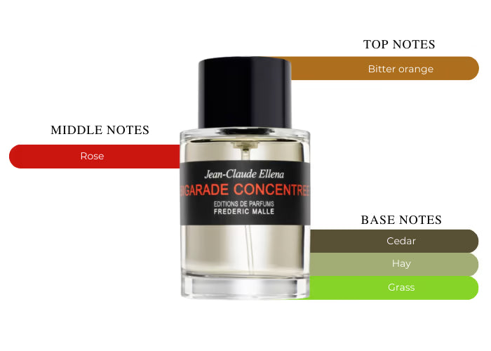 Bigarade Concentree by Frederic Malle - Decant / Sample