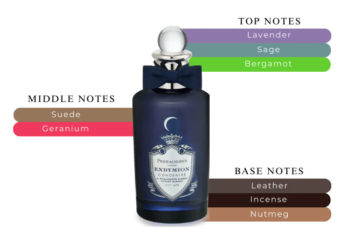 Endymion Concentre by Penhaligon's - Decant / Sample